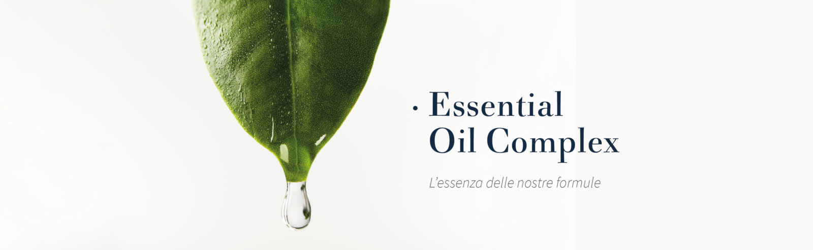 Sezione-OLI ESSENZIALI